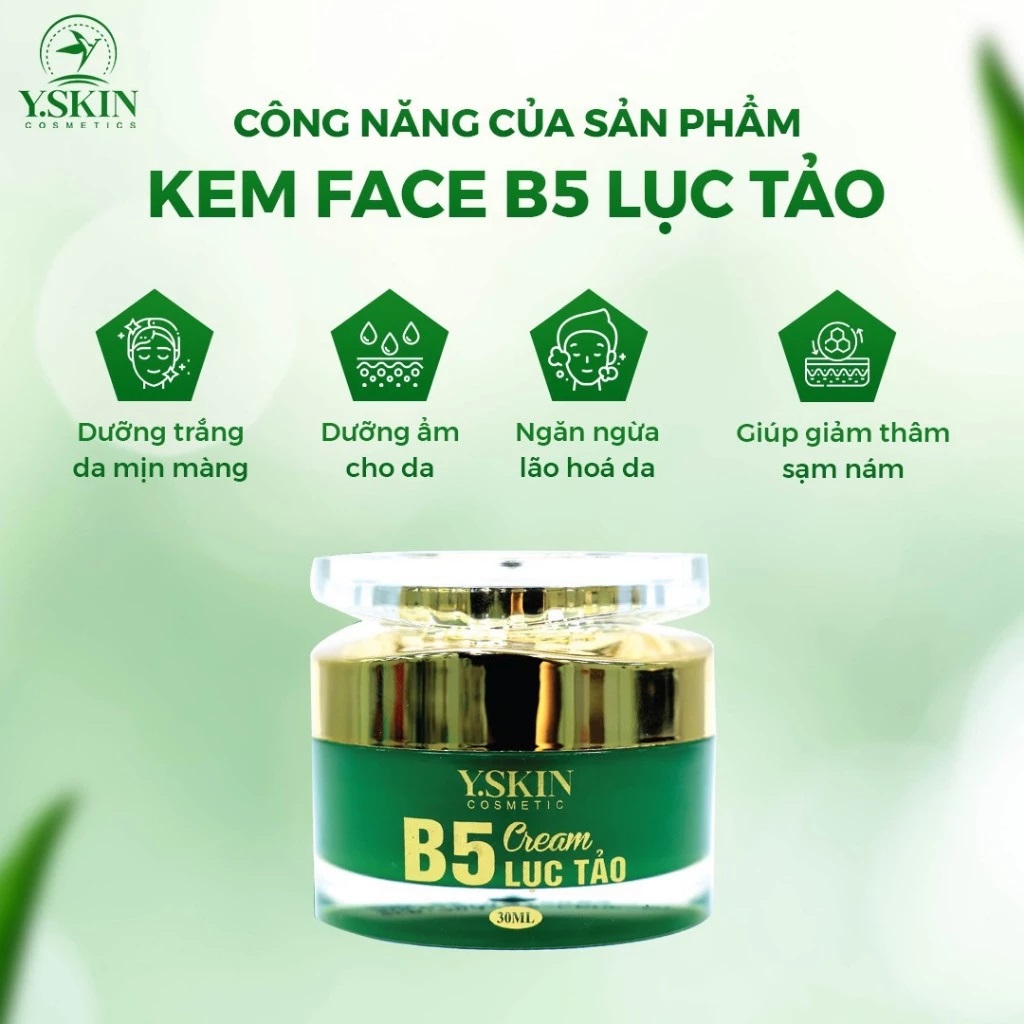 Kem face B5 Lục Tảo Y Skin